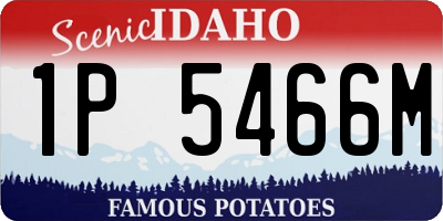 ID license plate 1P5466M