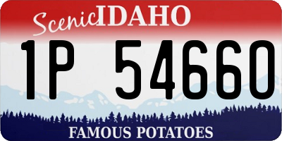 ID license plate 1P5466O