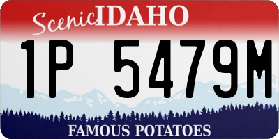 ID license plate 1P5479M