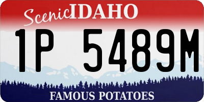 ID license plate 1P5489M