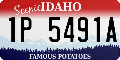 ID license plate 1P5491A