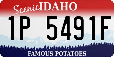 ID license plate 1P5491F