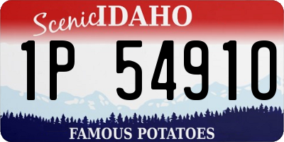 ID license plate 1P5491O