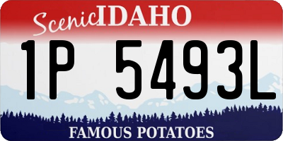 ID license plate 1P5493L
