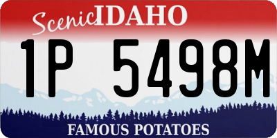 ID license plate 1P5498M