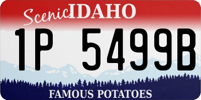 ID license plate 1P5499B