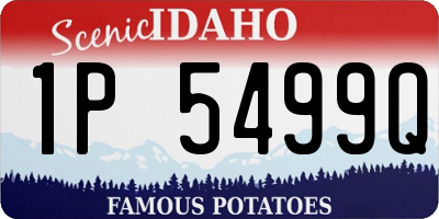 ID license plate 1P5499Q