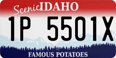 ID license plate 1P5501X