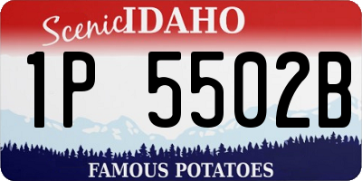 ID license plate 1P5502B
