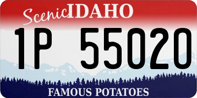 ID license plate 1P5502O
