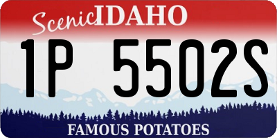 ID license plate 1P5502S