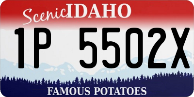 ID license plate 1P5502X