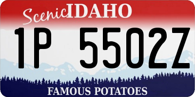 ID license plate 1P5502Z