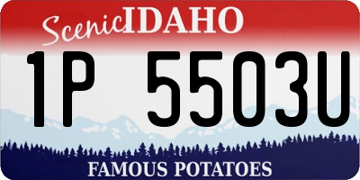 ID license plate 1P5503U
