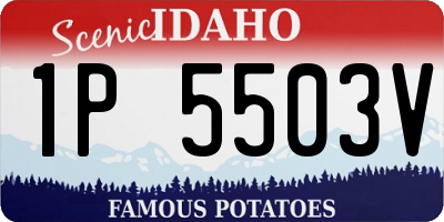 ID license plate 1P5503V