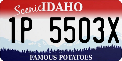 ID license plate 1P5503X