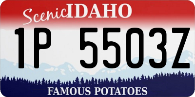 ID license plate 1P5503Z