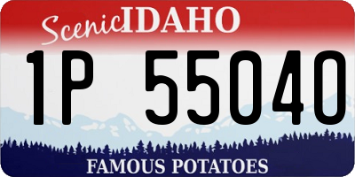 ID license plate 1P5504O