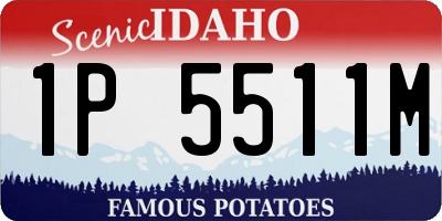 ID license plate 1P5511M