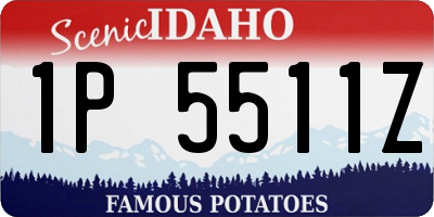 ID license plate 1P5511Z
