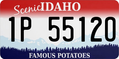 ID license plate 1P5512O