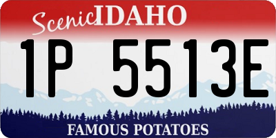 ID license plate 1P5513E