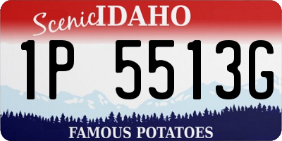 ID license plate 1P5513G