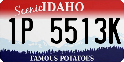 ID license plate 1P5513K