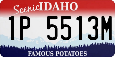 ID license plate 1P5513M