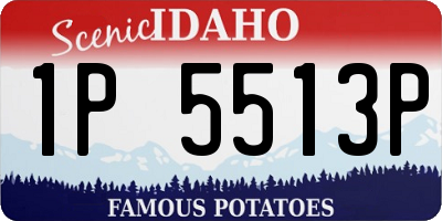 ID license plate 1P5513P