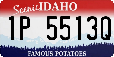 ID license plate 1P5513Q