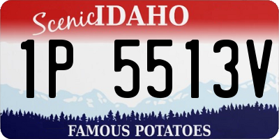 ID license plate 1P5513V