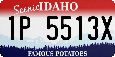 ID license plate 1P5513X