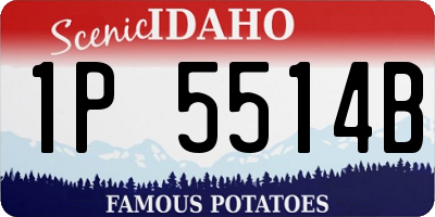 ID license plate 1P5514B
