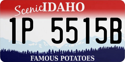 ID license plate 1P5515B