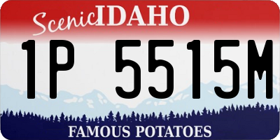 ID license plate 1P5515M