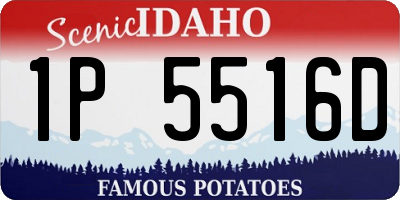 ID license plate 1P5516D