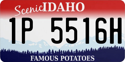 ID license plate 1P5516H