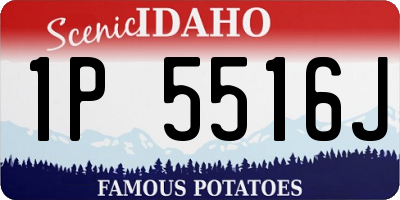 ID license plate 1P5516J