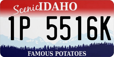 ID license plate 1P5516K