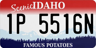 ID license plate 1P5516N