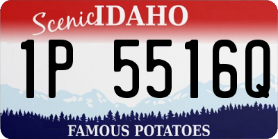 ID license plate 1P5516Q
