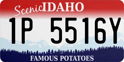 ID license plate 1P5516Y