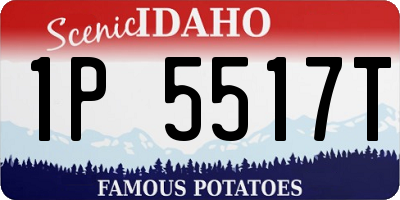 ID license plate 1P5517T