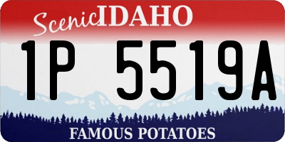 ID license plate 1P5519A