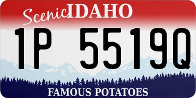 ID license plate 1P5519Q