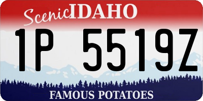 ID license plate 1P5519Z