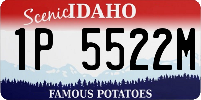 ID license plate 1P5522M