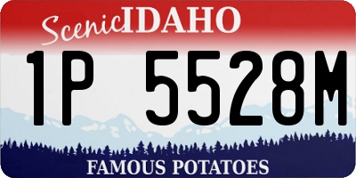 ID license plate 1P5528M