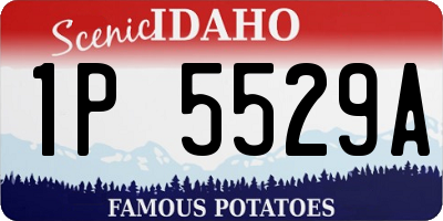 ID license plate 1P5529A